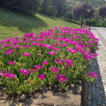 Holiday home Cascina Il Cedro Fiamenga